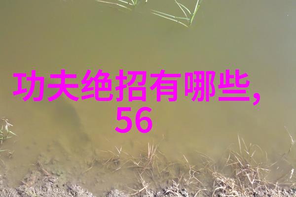 霸道的旗帜探索霸气十足帮派名字背后的故事
