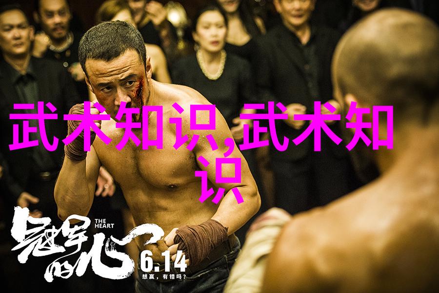 中国武术十大拳法排名二郎派