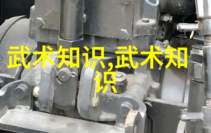 掌握精髓详解拳法十六招式的技巧与应用