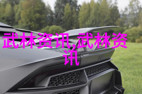 谈论用意不用力在武术教程中的应用与社会的意义 - 魏建国