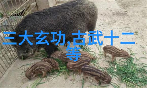 少儿散打武术激发潜能的快乐体验