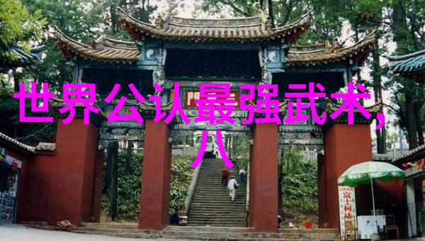 太极拳与葡萄酒武术活动名称大全在社会的融合体验