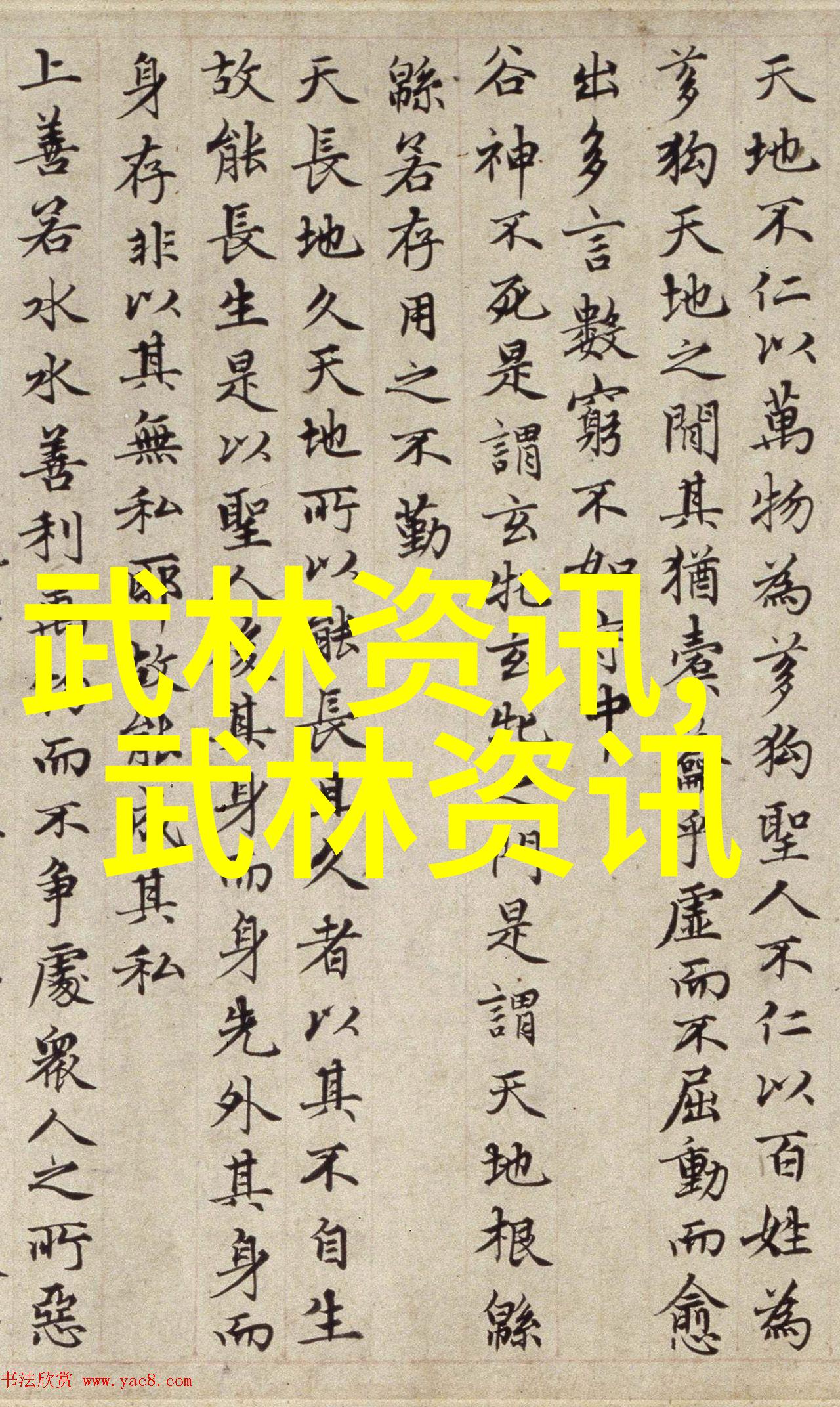 揭秘太极24式正面如春花烂漫背面藏龙卧虎