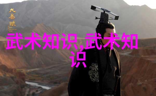 中国武术拳法中国传统的各种武术拳法