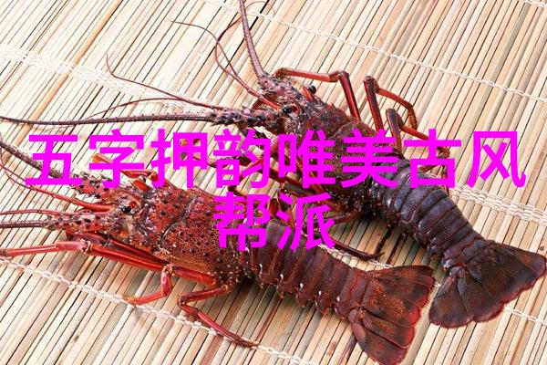 拳影穿梭李小龙功夫教学之灵动篇