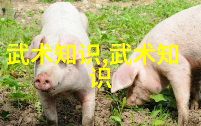 江湖秘密武林十大门派之谜