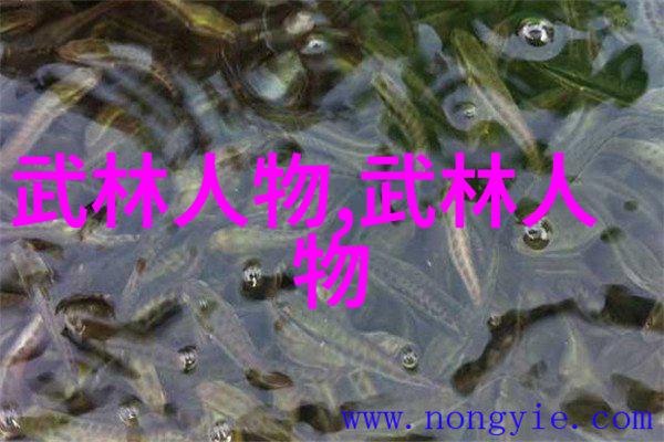 社会中学习太极内功的六个字武功秘籍步骤
