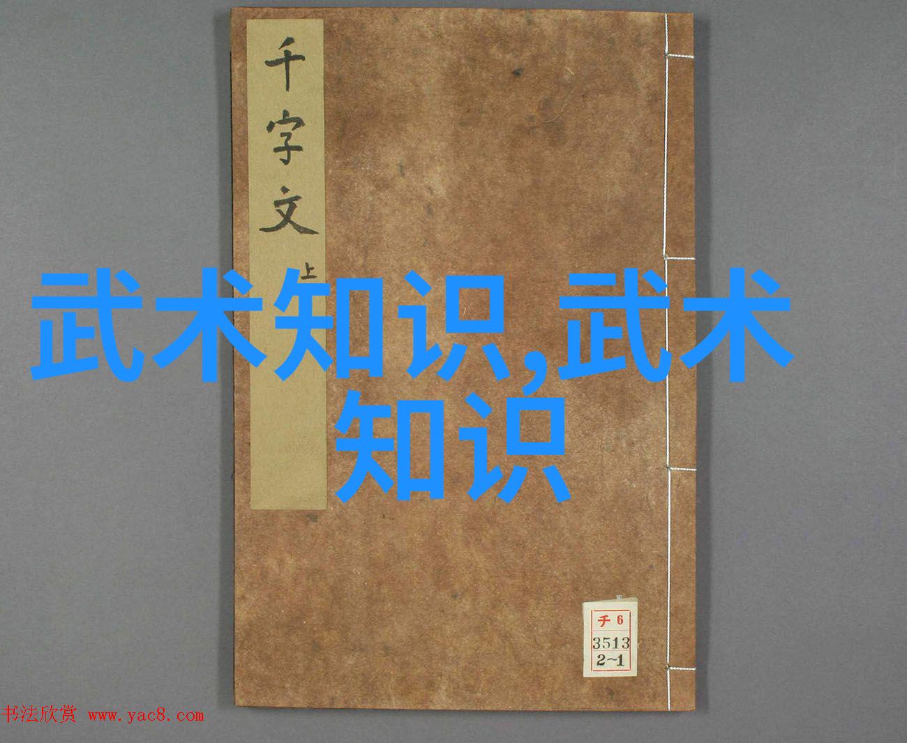 车载多肉园四位玩家的育花之旅