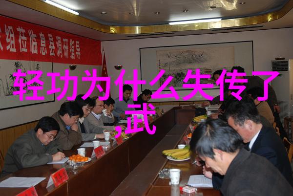 太极拳技巧-掌握简易24式太极拳轻松提升内外平衡
