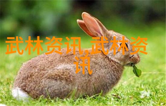武侠世界-中国最强门派掐断时空之轮的绝世武林