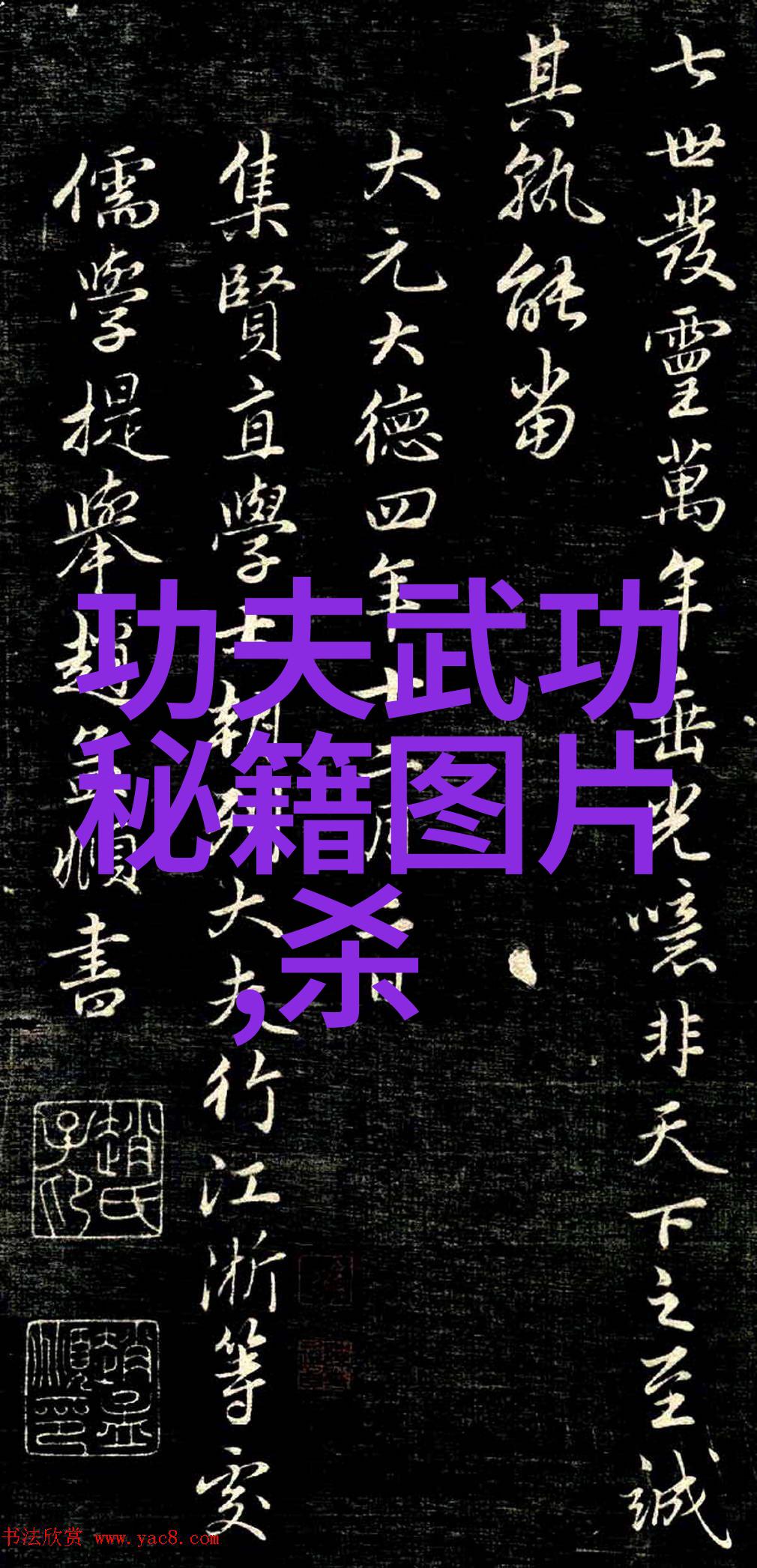 武学根基探索武术基本功网站的精髓与实用性