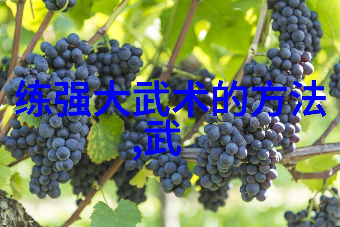 武林资讯 - 江湖动态揭秘武林七大派最新成就