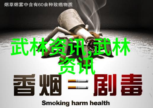 武术十二法掌握基石筑牢技艺