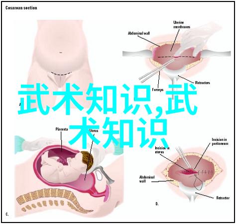 阴阳合一精气神足深度剖析大全书中的内丹术