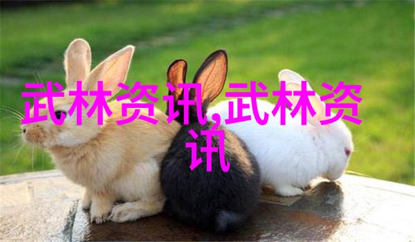 肝硬化饮食管理营养平衡的关键