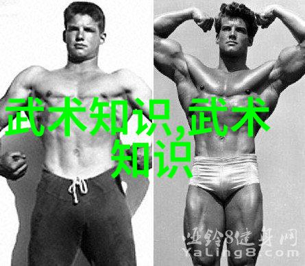 实战十绝揭秘武术世界的最强手段