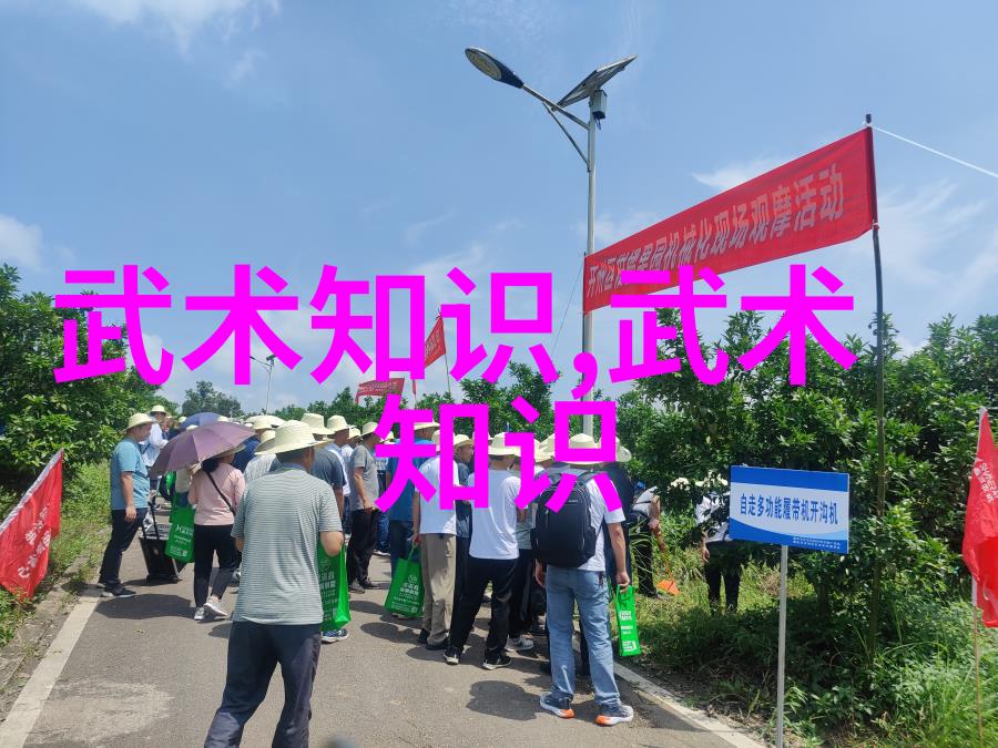 24式太极拳分解动作教学揭秘古老武术的流畅舞步与内外兼修