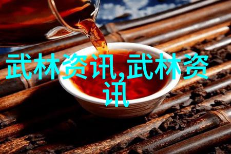 中国拳法种类丰富中国传统武术的多样化演变
