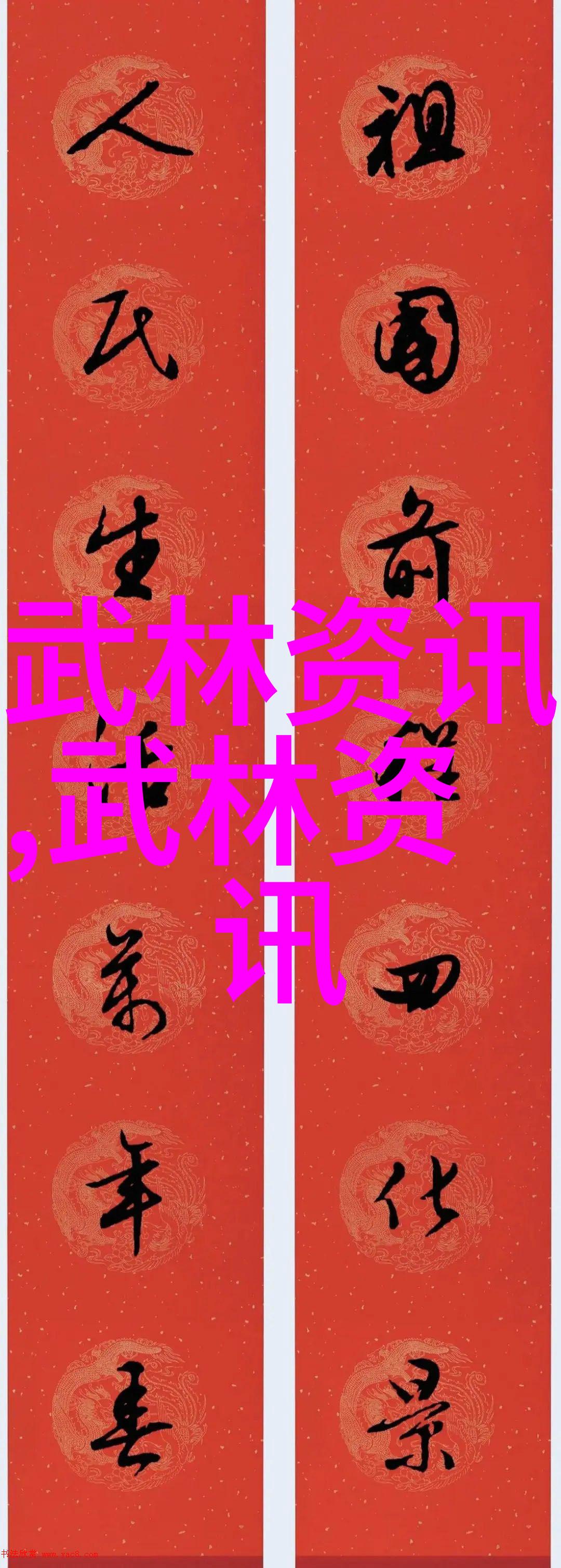 中国功夫从柔和的艺术到锐利的拳法