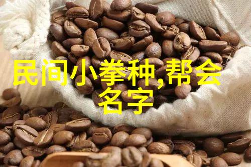 武林中最为辉煌的门派之首乾坤门掌门人其威严如同天地间的乾坤所掌握的拳种不仅能够控制风云变幻还能操纵宇