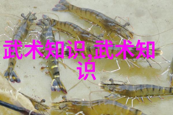 八旬老人下河冬泳 上演冬日芭蕾