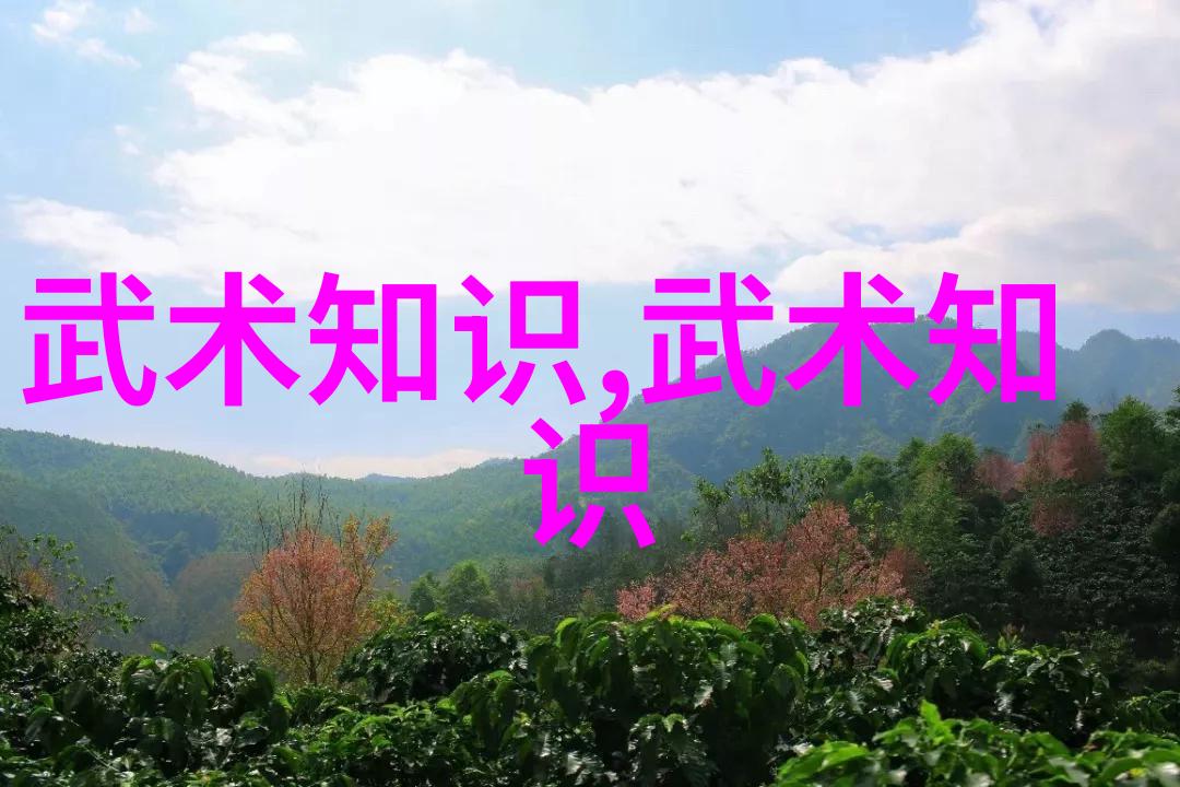 少林武术巅峰之作金刚拳法少林寺内传承的绝世神功