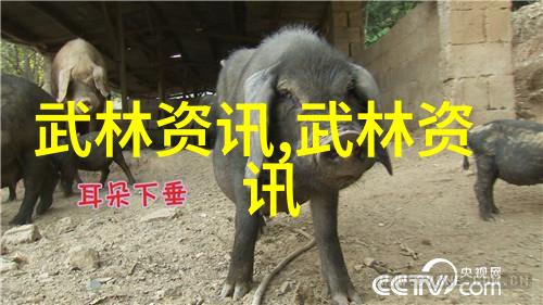 江苏武林门派探秘揭秘南剑门的古老传承