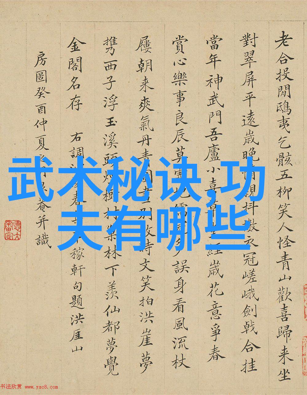 中国武术巅峰揭秘十大神功排行榜