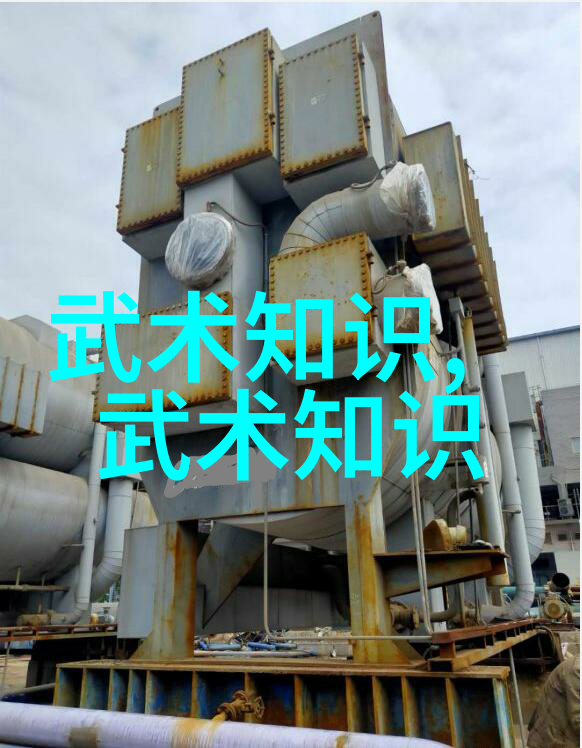 少林武功秘籍大全-悟空传揭秘少林武学源流与精髓