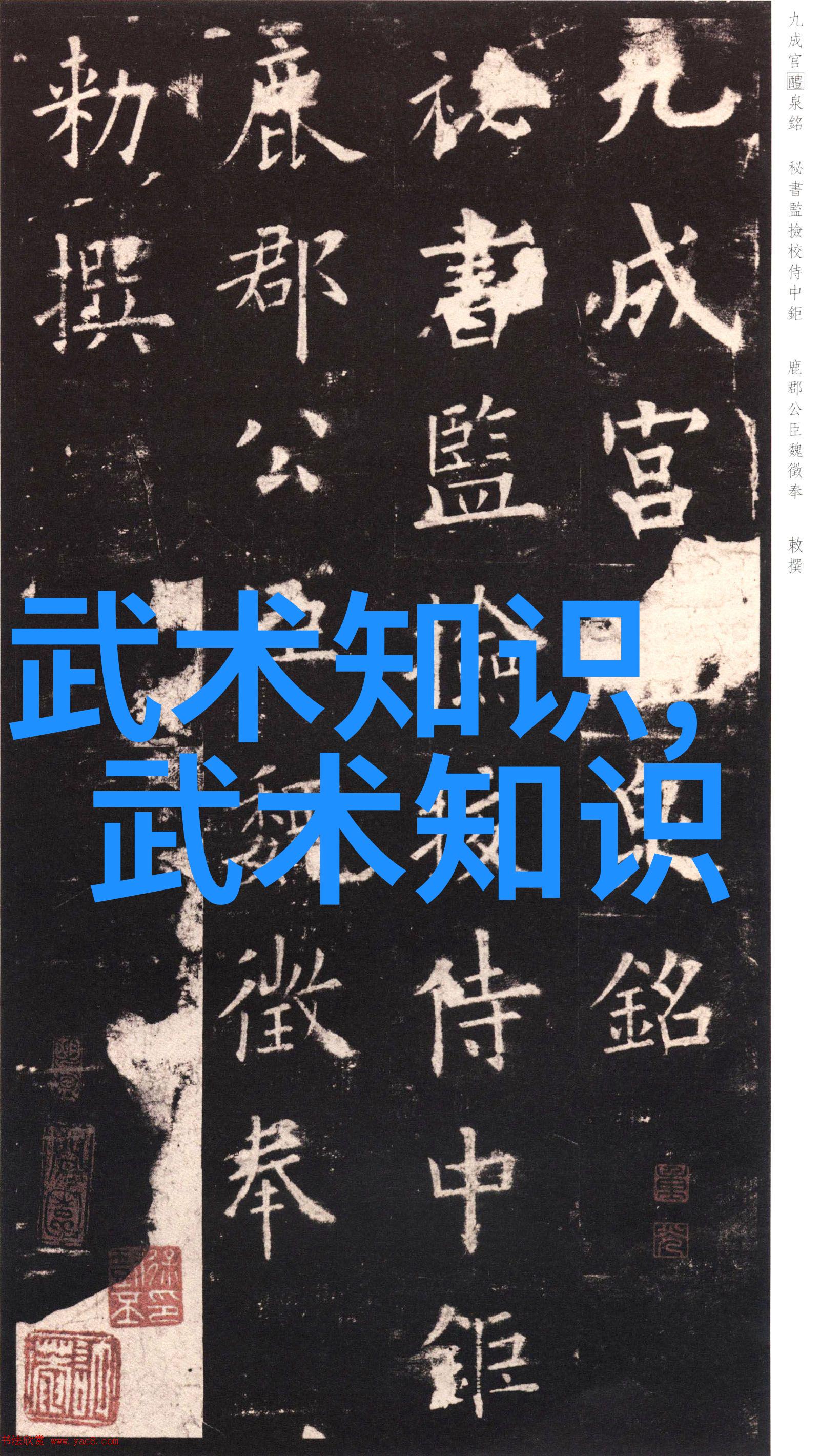 我应该在什么时候开始尝试进行太极拳的动态演练以提升实战能力