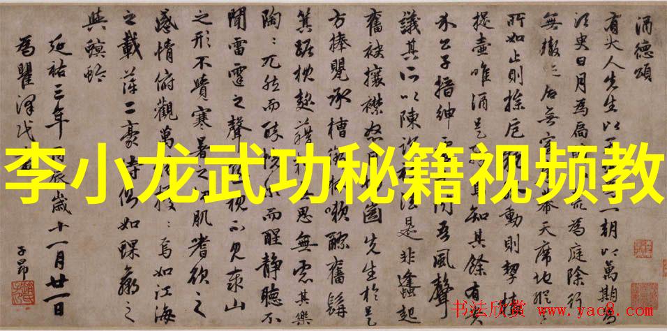 杜子宇探寻世界上最强武功之谜李派太极拳在社会的魅力与实用性