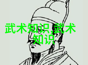 从菜鸟到武林高手一路上的荒唐与英勇