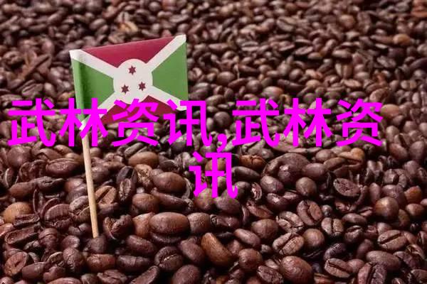 中国武学宝库剖析全国各地130余家正宗武林高手所在的学校和组织名单详细介绍及历史背景分析