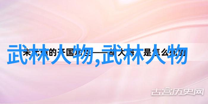 赵堡太极李宗有三合一拳适合自学的武术初解-张长林 张顺林