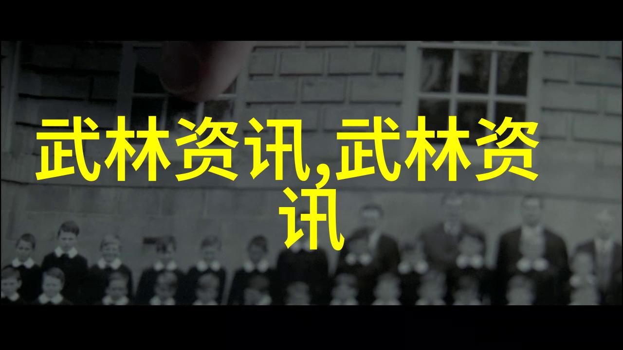 太极拳24式图解详解中国传统武术太极拳基本招式动作教学