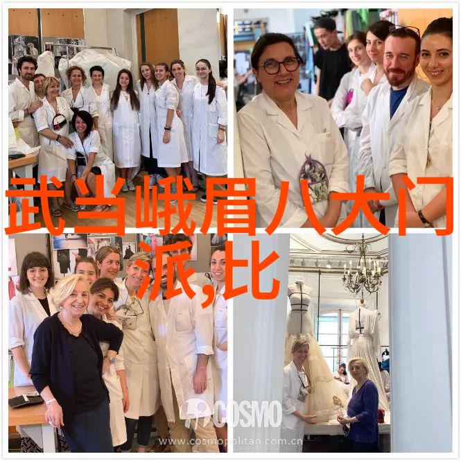 解锁太极拳的奥秘深入浅出的24式分解介绍