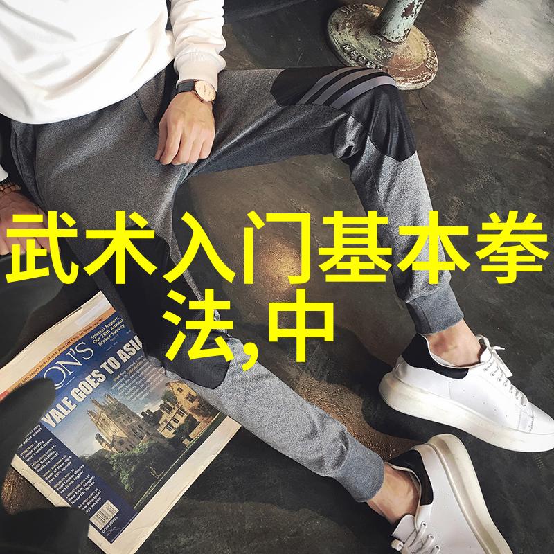 内家外派各有特色古代武功秘籍口诀对比分析