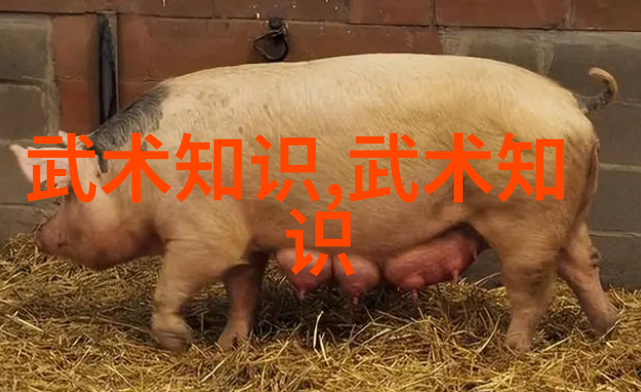 太极拳内劲的形成与在推手中的作用基础武功秘籍解读