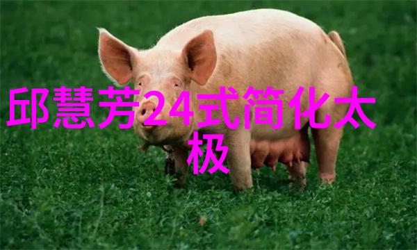 胯下生风四十式太极拳舞动于心