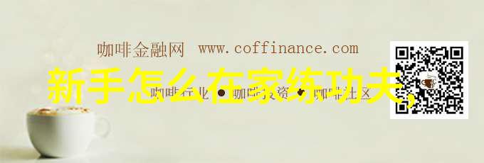 探索武术起步一套适合初学者的基本训练计划