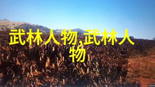 中国武术-揭秘中国十大最强武术内功外式并进的传统之冠