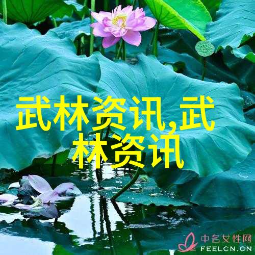 家庭教室如何教授孩子太極拳24式