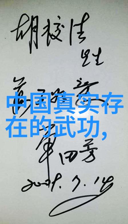 武术探索 初学武术套路拳法掌握基本技巧的艺术之旅