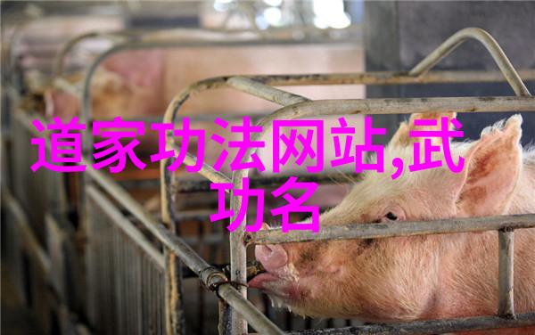 我们该如何理解和执行单鞭这一复杂动作的技巧