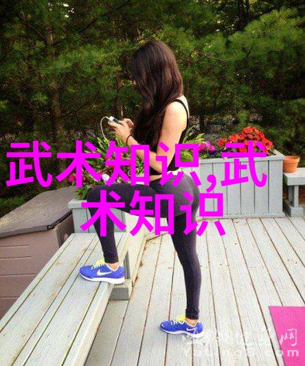 功夫大全招式拳法揭秘武林中最深奥的内功与外形