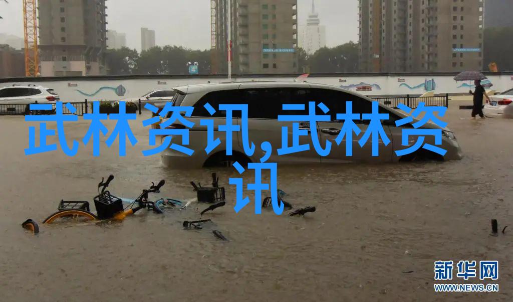 中国古代武术流派之探秘中国武术史上的众多流派