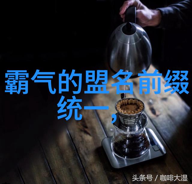 武术基础探索十二个关键动作