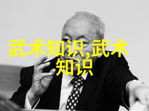 幽冥门古韵腾挪太极拳谱影随风舞