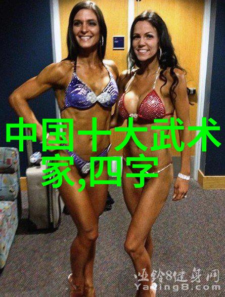 可以使用什么软件或平台观看高质量的太极拳24式图解教学视频