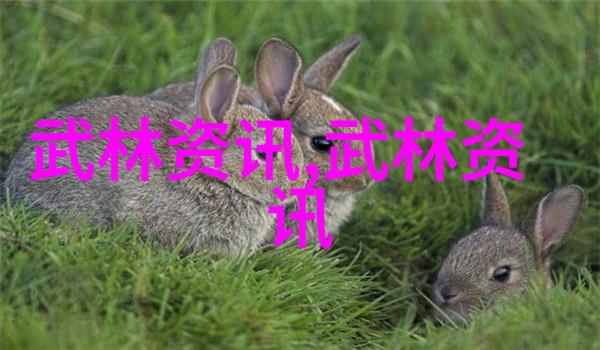 孕妇游泳秘籍避免六大误区享受水上乐趣